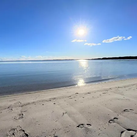 Toska Rorvig